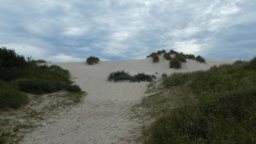 Rabjerg Mille. boven op het duin kijk je uit over een grote zandvlakte.