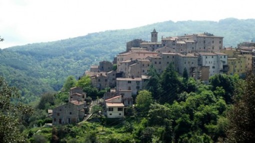 Sasseta.