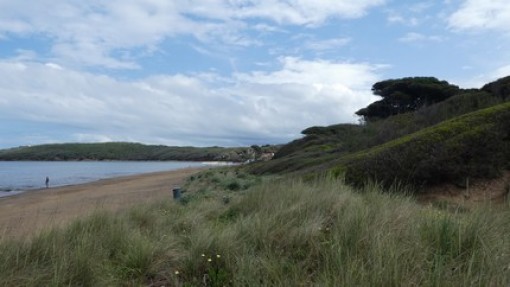 De baai van Baratti.