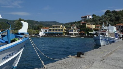 Platania.