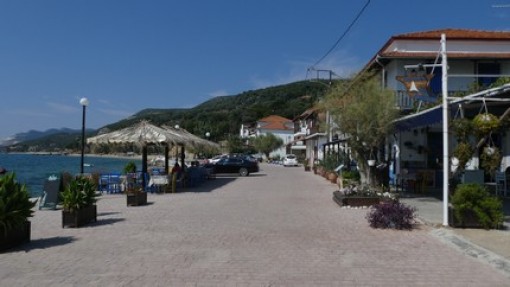 Platania.