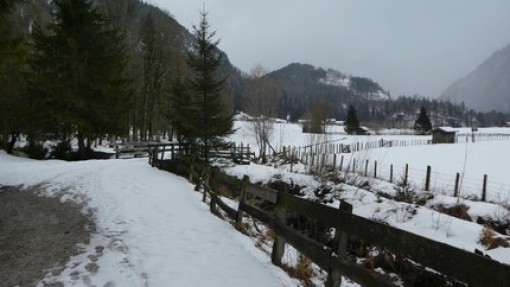 Wandeling naar Strohwolln.