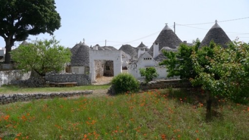 De trulli's staan vaak in een groepje.